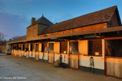 Ferme-de-Ferooz-Boxes-3