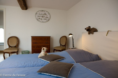 Ferme-de-Ferooz-La-Ferme-28