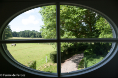 Ferme-de-Ferooz-Le-Charril-22