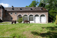 Ferme-de-Ferooz-Le-Charril-27